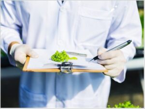 해외인증 사전심사/진단 무료지원